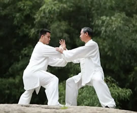 杨式太极拳85式